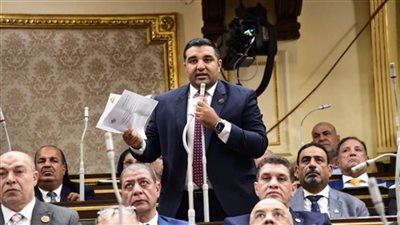 تحرك برلماني بشأن مشكلات الصرف الصحي بمنطقة سموحة الجديدة بالإسكندرية