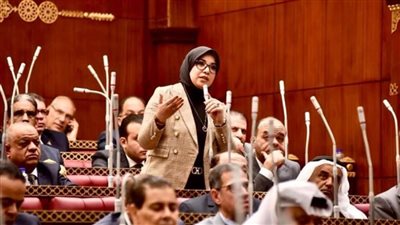 النائبة دينا هلالي تستعرض طلبها أمام الشيوخ بشأن سياسة الحكومة في تطوير قصور الثقافة