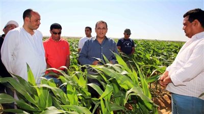 اقتصادية النواب تطالب بتحويل المحافظات لمصانع وحقول إنتاج لتعزيز الأمن الغذائي والصناعي