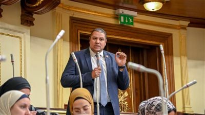 محمد إسماعيل: التشريع ليس فقط مراقبة القوانين أو تعديل مشروعاتها