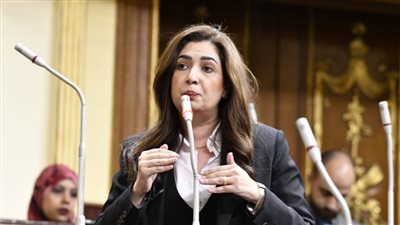 أميرة العادلي: تعديل قوانين الأحزاب ومباشرة الحقوق السياسية ضرورة لبناء أحزاب قوية