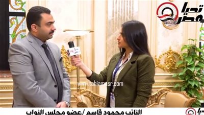 النائب محمود قاسم للبرلمان: العاملين بالخارج من أولوياتي تحت قبة البرلمان