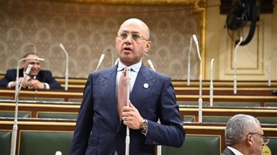 برلماني: حماية المرأة مسؤولية دولة ومجتمع.. ومصر قطعت خطوات حاسمة في مواجهة العنف بكل صوره