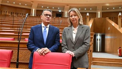 النائب طارق رضوان يلتقي الممثل الخاص للاتحاد الأوروبي لحقوق الإنسان