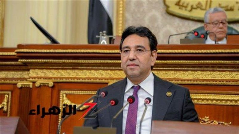 النائب أيمن محسب