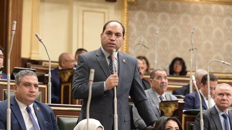 النائب عمرو درويش