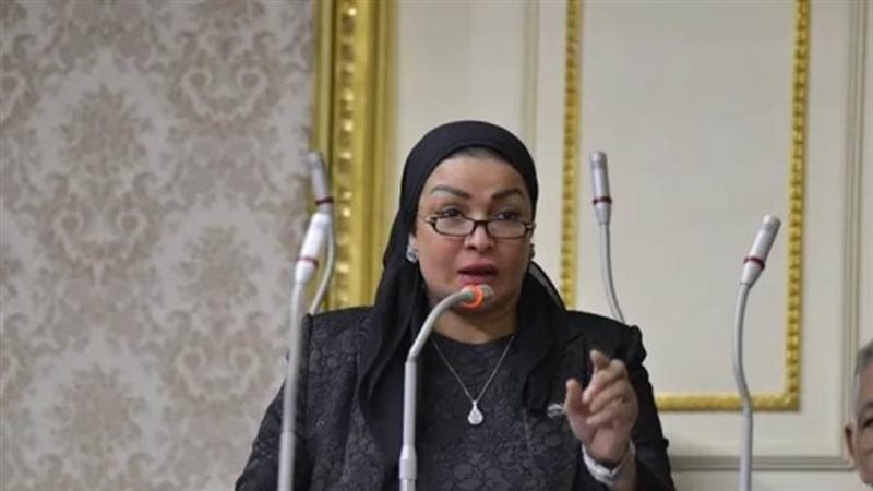النائبة ألفت المزلاوي