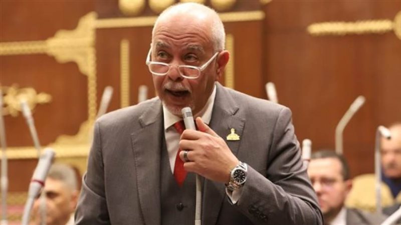 النائب حازم الجندي