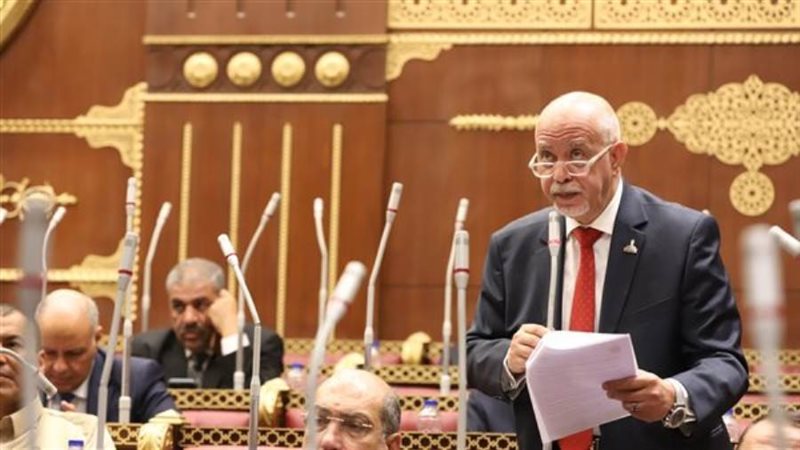 النائب حازم الجندي