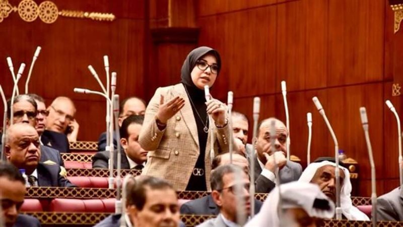 النائبة دينا الهلالي