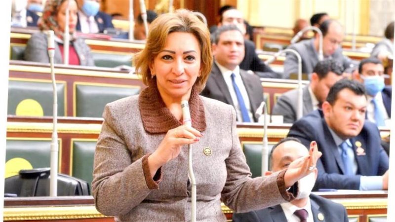 مها عبد الناصر