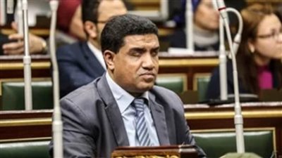 جدول انتخابي وعودة للمشهد من جديد.. محامي بالنقض يكشف الإجراءات المرتقبة بعد إلغاء 45 دائرة