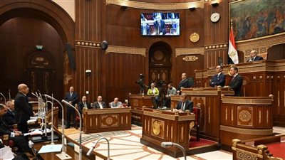 اجتماعات لجان الشيوخ الأربعاء.. مناقشات حول تعديلات الكهرباء وتطوير الإعلام وخطة حقوق الإنسان
