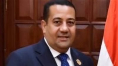 ناصر الضوي: القاهرة تدعم الحلول السلمية وتواجه محاولات تفكيك الدولة السودانية