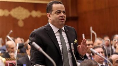 نائب بالشيوخ: تشديد عقوبة سرقة الكهرباء لا يحقق الردع دائما وأطالب بدراسة جذرية للقطاع
