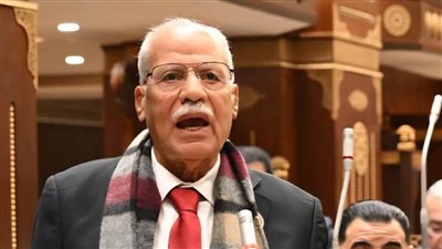 أبو العلا: تحركات السيسي الخارجية تعيد لمصر دورها القومي والتاريخي