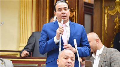 أيمن أبو العلا: احترام حكم القضاء أولوية.. وننتظر مشاركة واسعة في الأيام الحاسمة