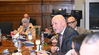 الجندي يشيد بدور وزارة الخارجية في إبراز جهود مصر الحقوقية دوليًا