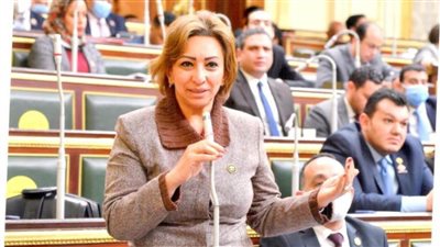 النائبة مها عبد الناصر: نحتاج منظومة متكاملة لحماية أبنائنا داخل المدارس