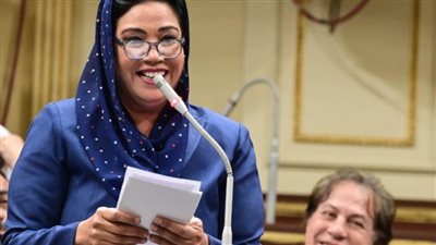 نشوى الديب تستغيث بالرئيس السيسي: ما يحدث في إمبابة انتهاك دستوري وإرهاب انتخابي