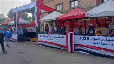 الناخبون يدلون بأصواتهم في اليوم الثاني لجولة الإعادة بالدوائر الـ 19 الملغاة