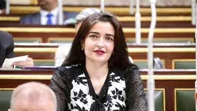 إيرين سعيد: إزالة المستشفيات وتأخر الانتهاء من تطويرها يتسبب في أزمة متفاقمة| خاص