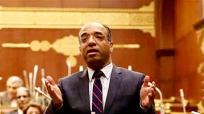 النائب علي مهران: جهود مصر في 2025 ترجمة حقيقية لدبلوماسية فاعلة ومسؤولة