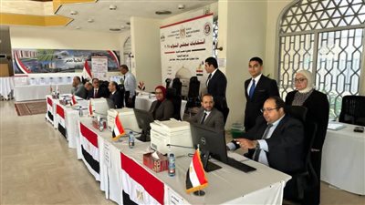 توافد المصريين بالخارج على صناديق الاقتراع ضمن جولة الإعادة بالـ 30 دائرة الملغاه
