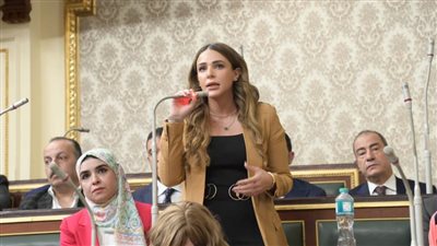 برلمانية ترحب بـ«التفتيش الذكي» وتؤكد ضرورة ضمان التوازن العادل بين حقوق العمال والمستثمرين