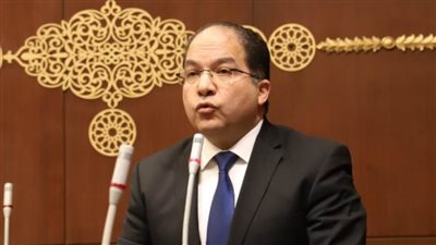 عادل اللمعي: السردية الوطنية في إصدارها الثاني تضع المواطن في قلب التخطيط الاقتصادي