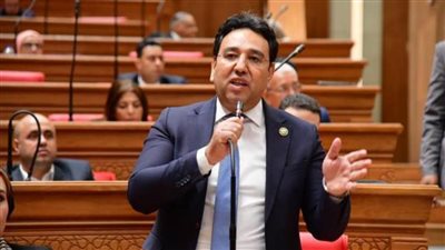 أيمن محسب: تطبيق موازنات البرامج والأداء نقلة نوعية في إدارة المال العام