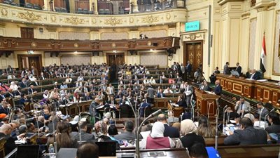 برلمانية: استمرار ظاهرة العنف الأسري يستدعي تدخلًا عاجلًا وتشريعًا رادعًا