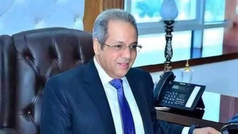 النائب أحمد حلمي