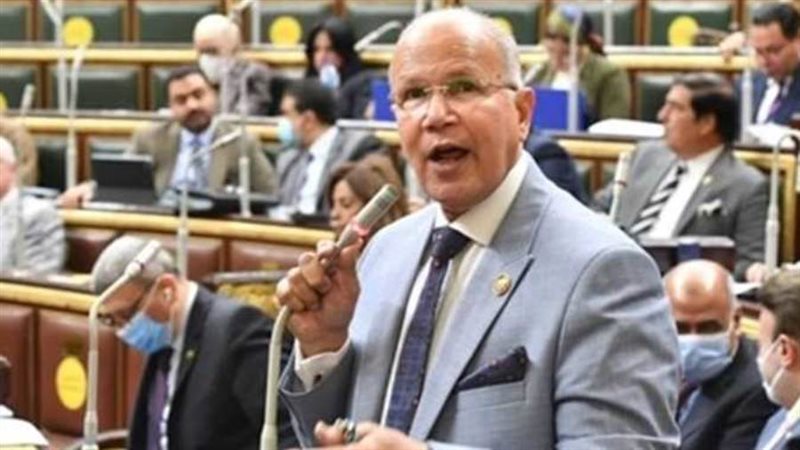 النائب سيد شمس الدين