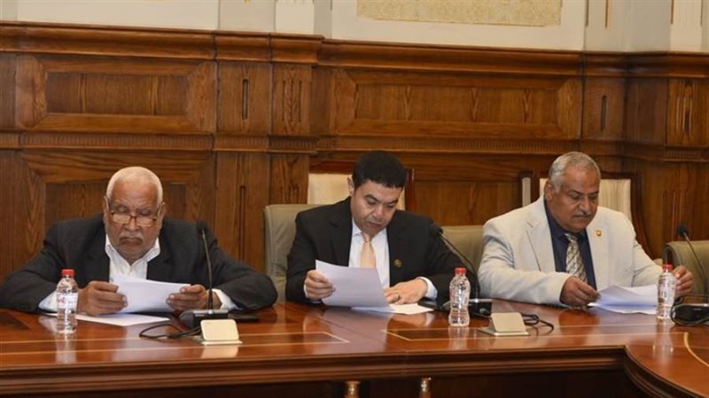 النائب إسماعيل الشرقاوي