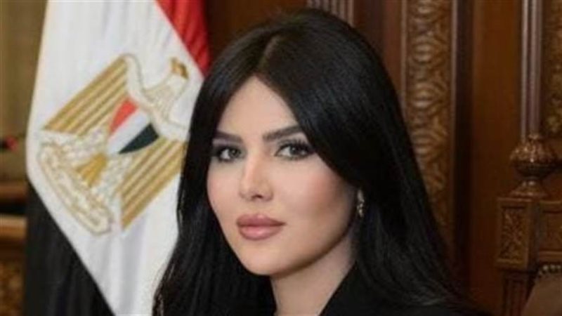 النائبة ريهام أبو