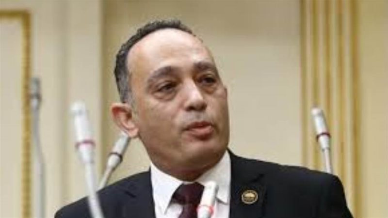 النائب فريد البياضي