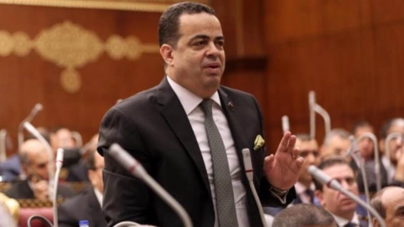 النائب عصام عفيفي