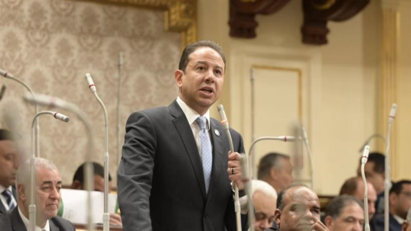 النائب حسن عمار