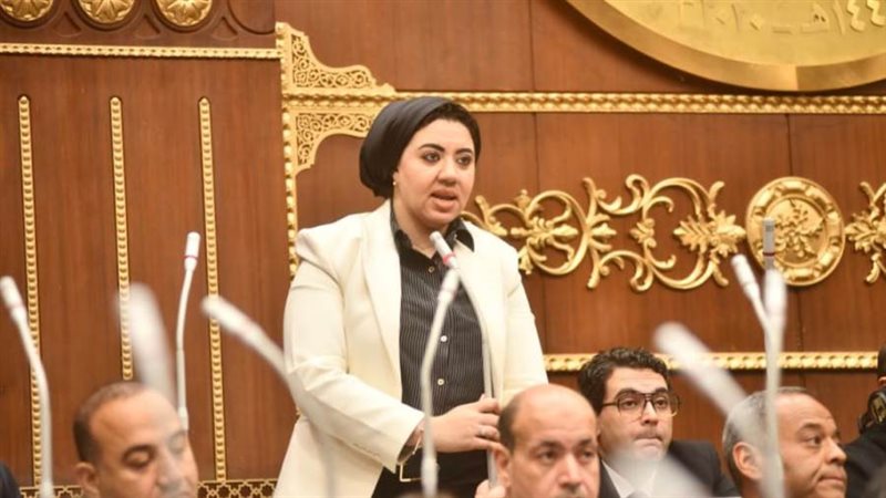 النائبة أميرة صابر