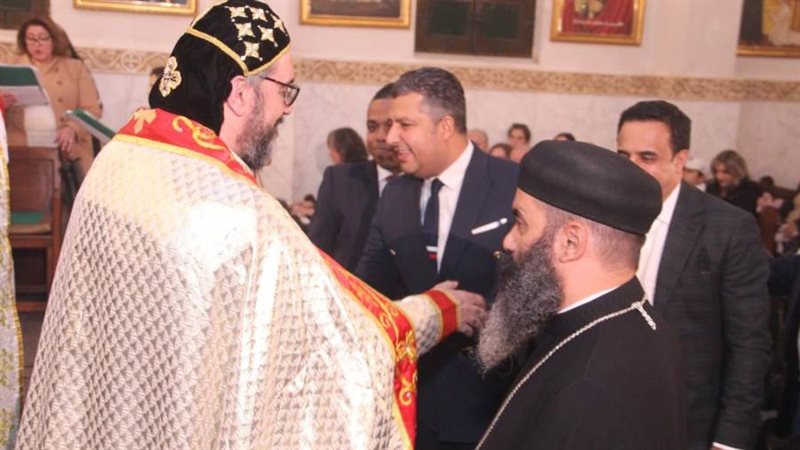 مجلس الشباب المصري