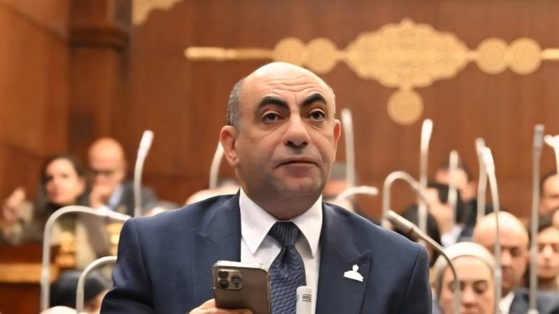 النائب محمد إبراهيم