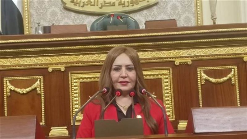 النائبة جيهان البيومي