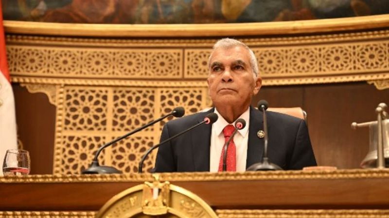 المستشار عصام الدين فريد