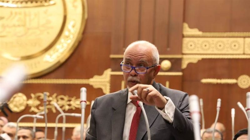 النائب حازم الجندي