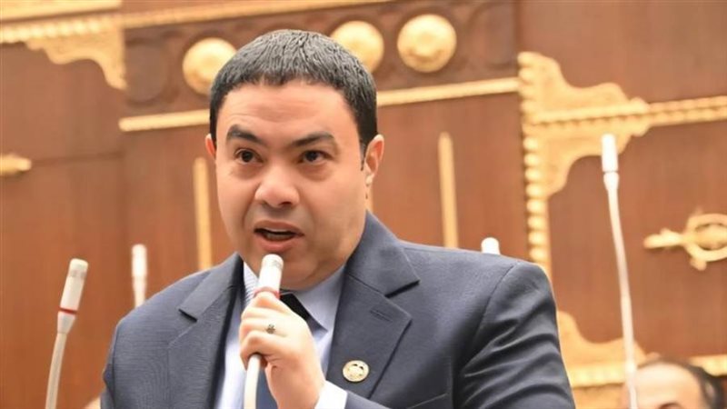 النائب اسماعيل الشرقاوي