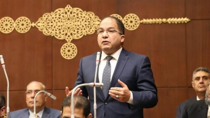 النائب عادل اللمعي