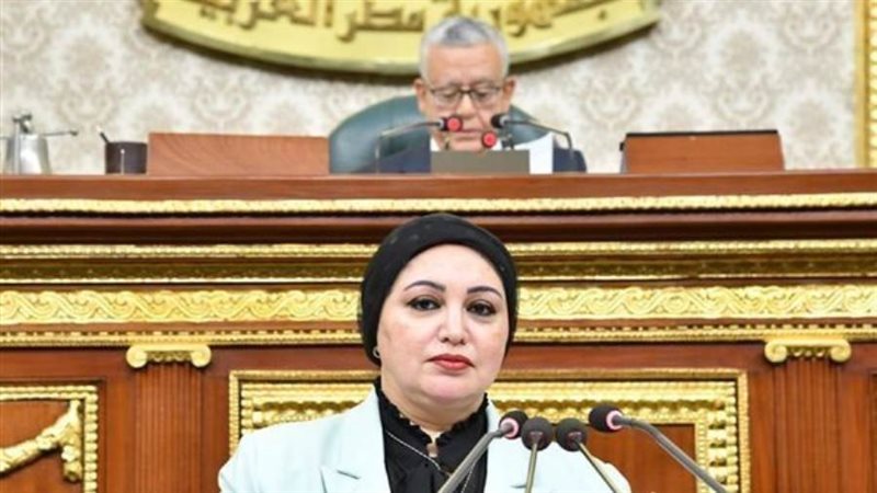 النائبة سولاف درويش